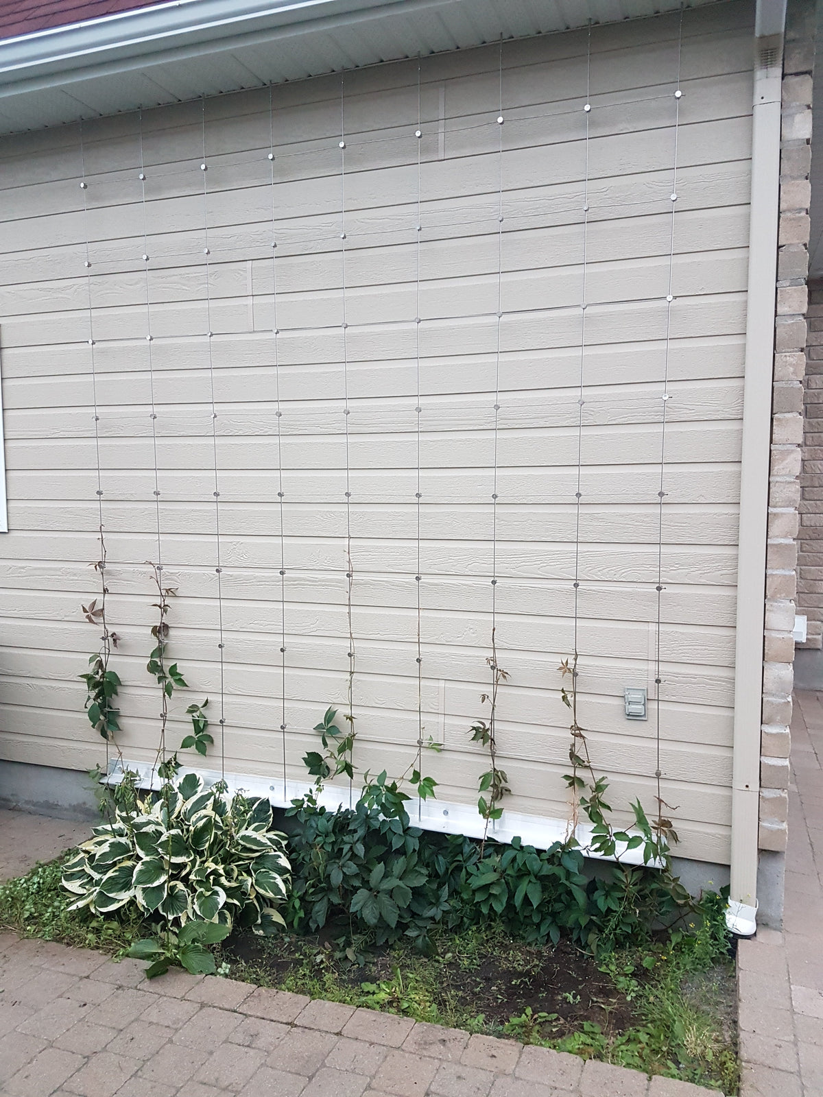 Adjustable cross clamps for treillis - Gauthier De LaPlante