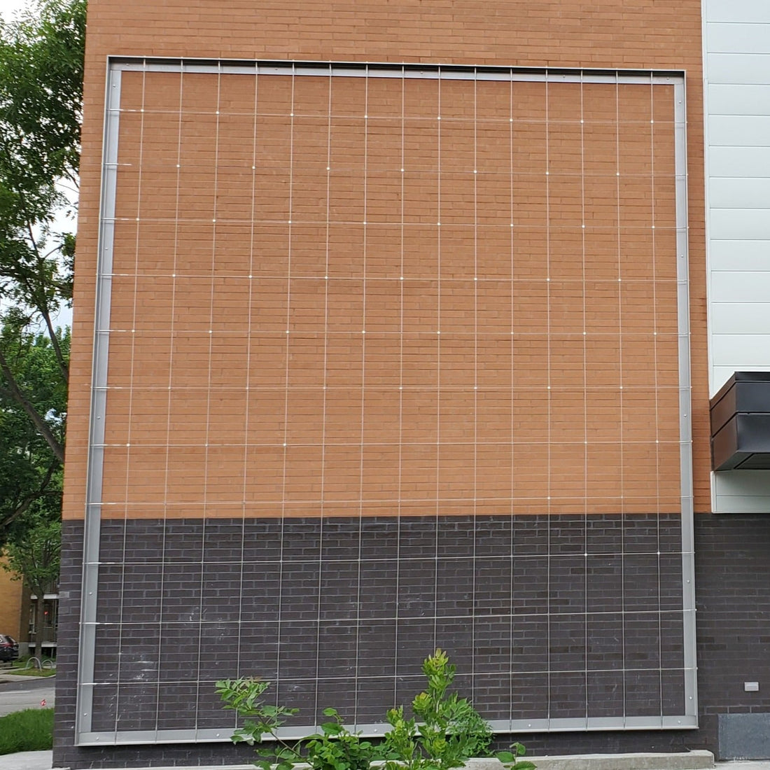 Projet de mur vert avec treillis en métal à Limoilou, Québec