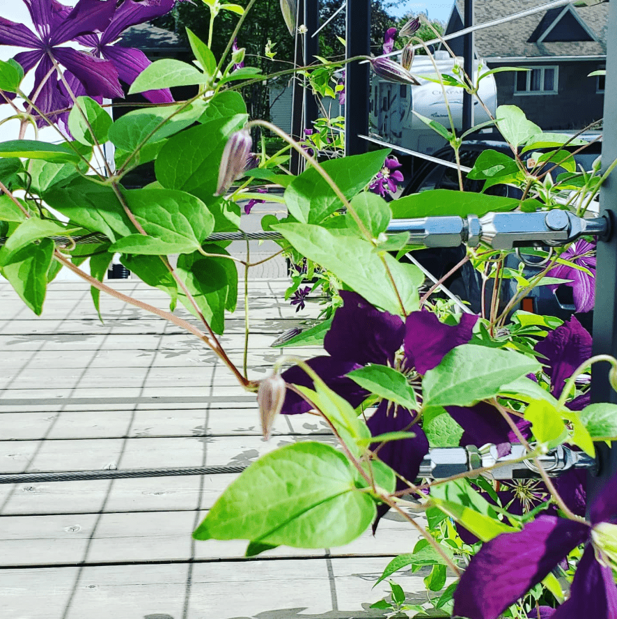 Classic Cable Railing System - II - Metal Post - Gauthier De LaPlante